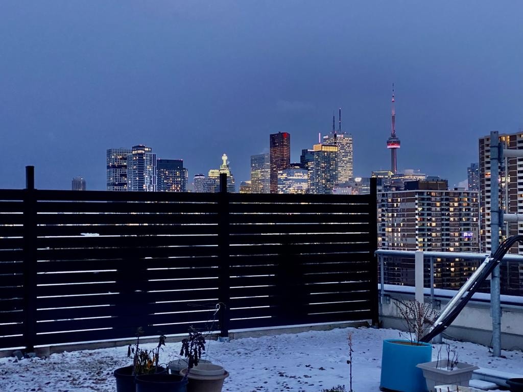 black outdoor privacy screens toronto